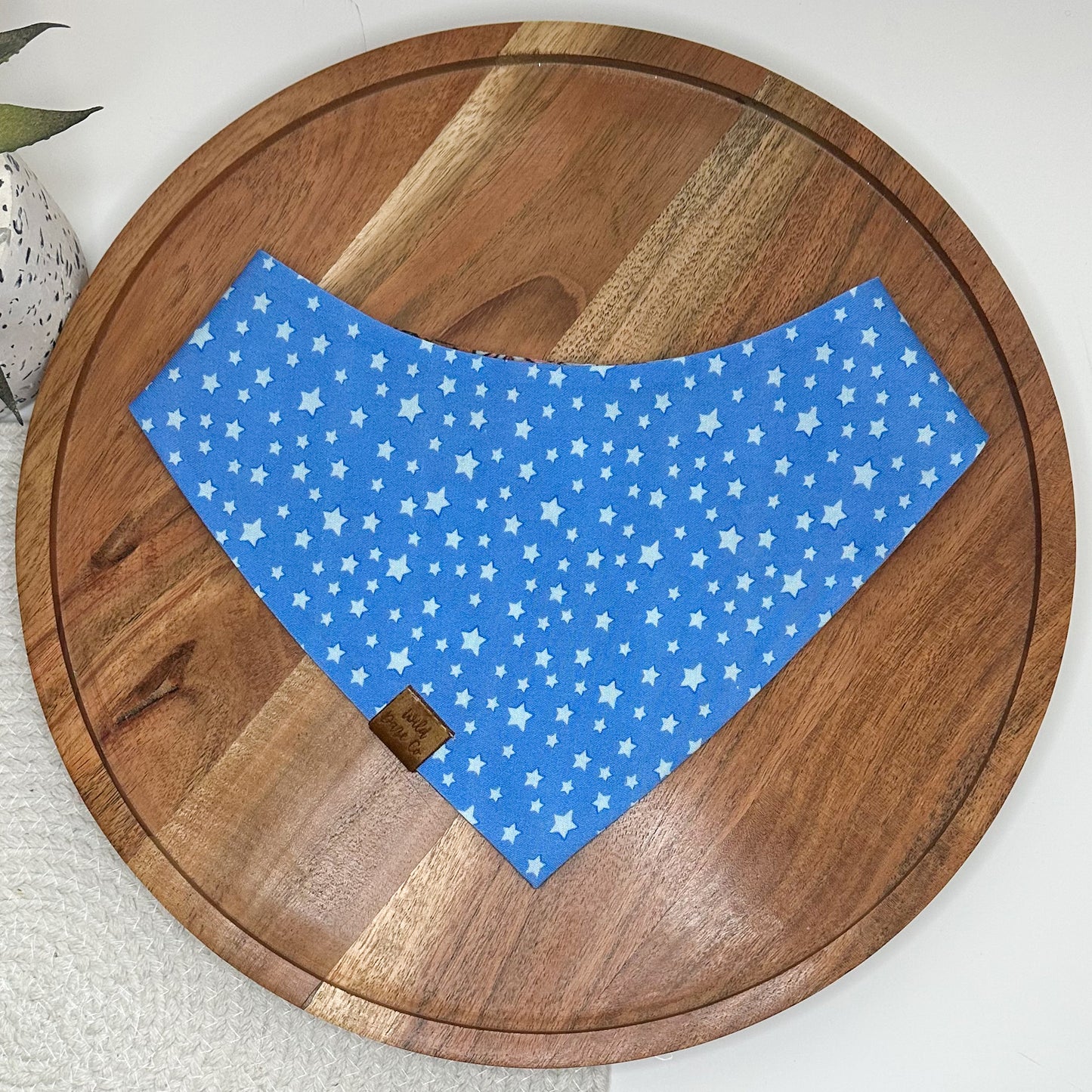 Under the Sea Dog Bandana