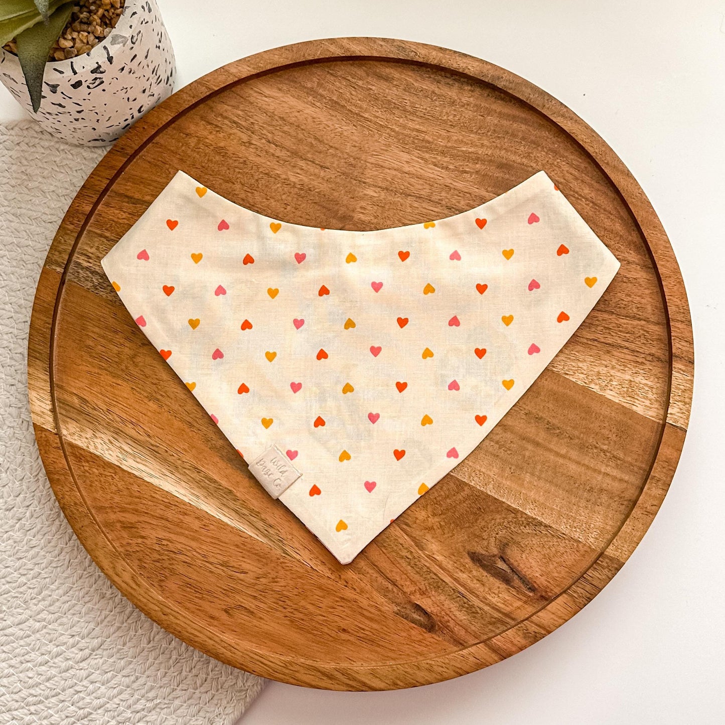 Dog and Book Lover Dog Bandana