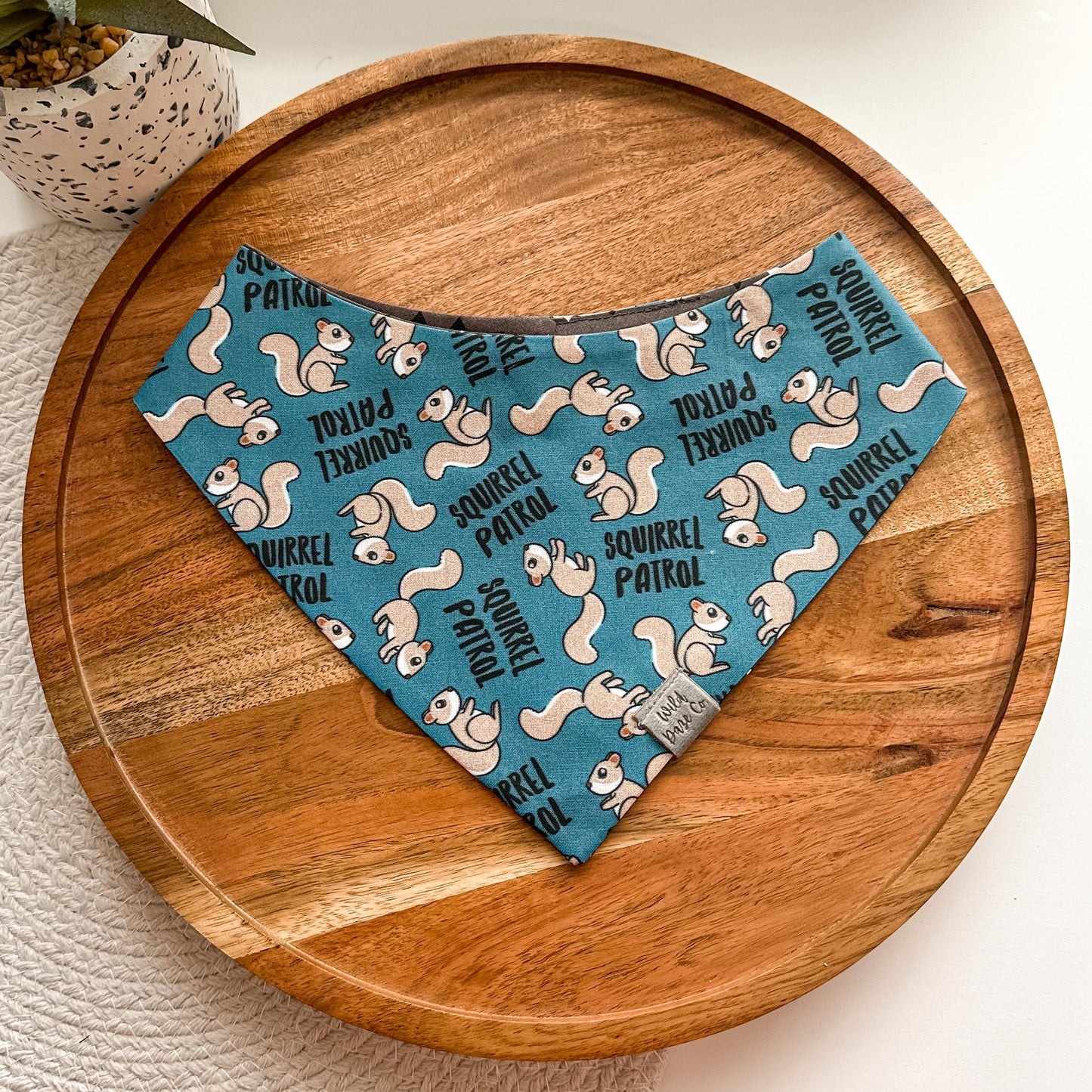 Squirrel Patrol in Blue Dog Bandana