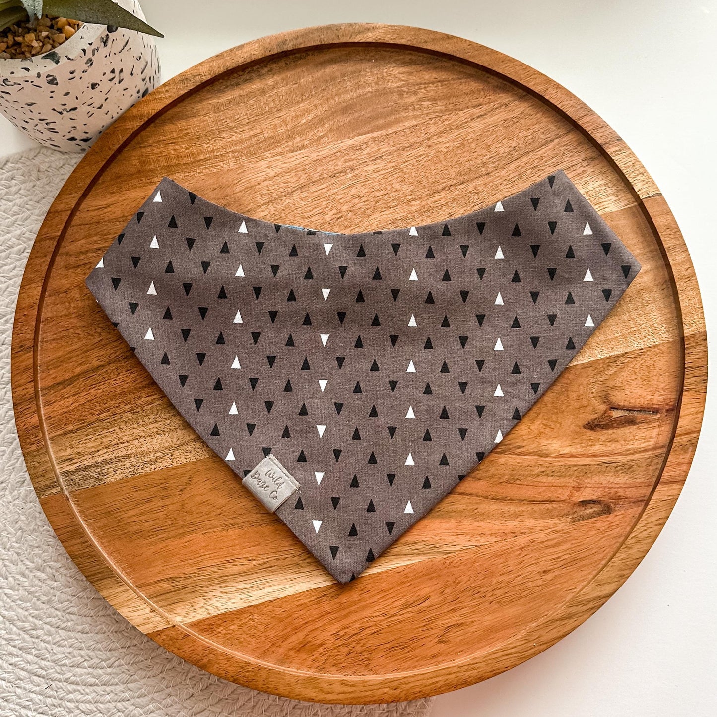 Squirrel Patrol in Blue Dog Bandana