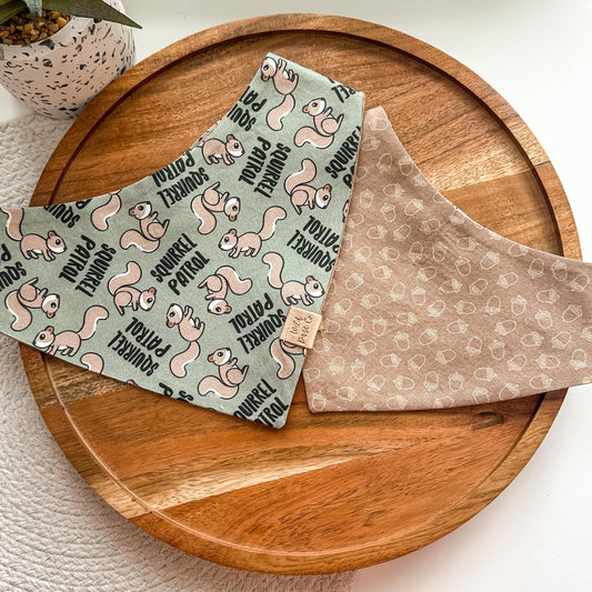 Squirrel Patrol in Sage Green Dog Bandana