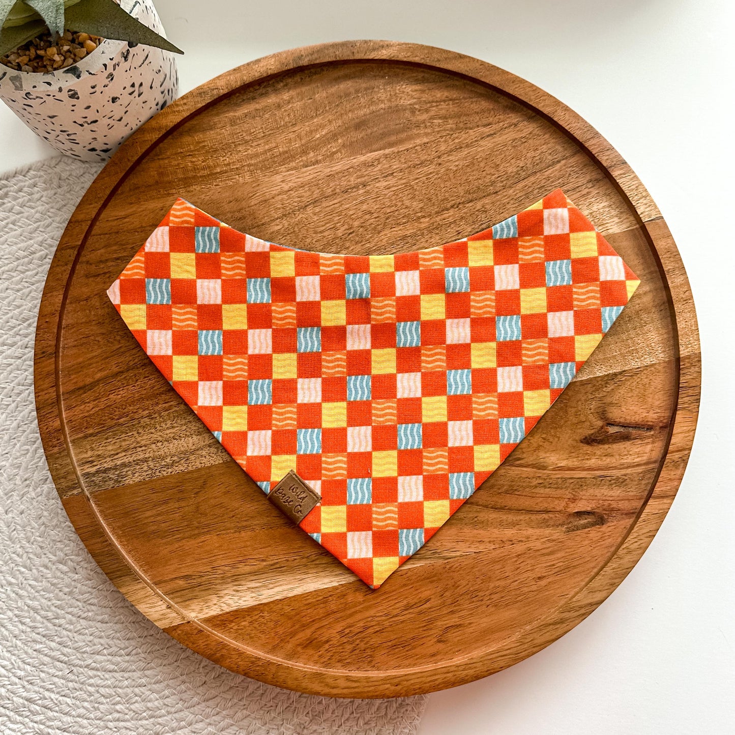 Happy Chow in Blue Dog Bandana