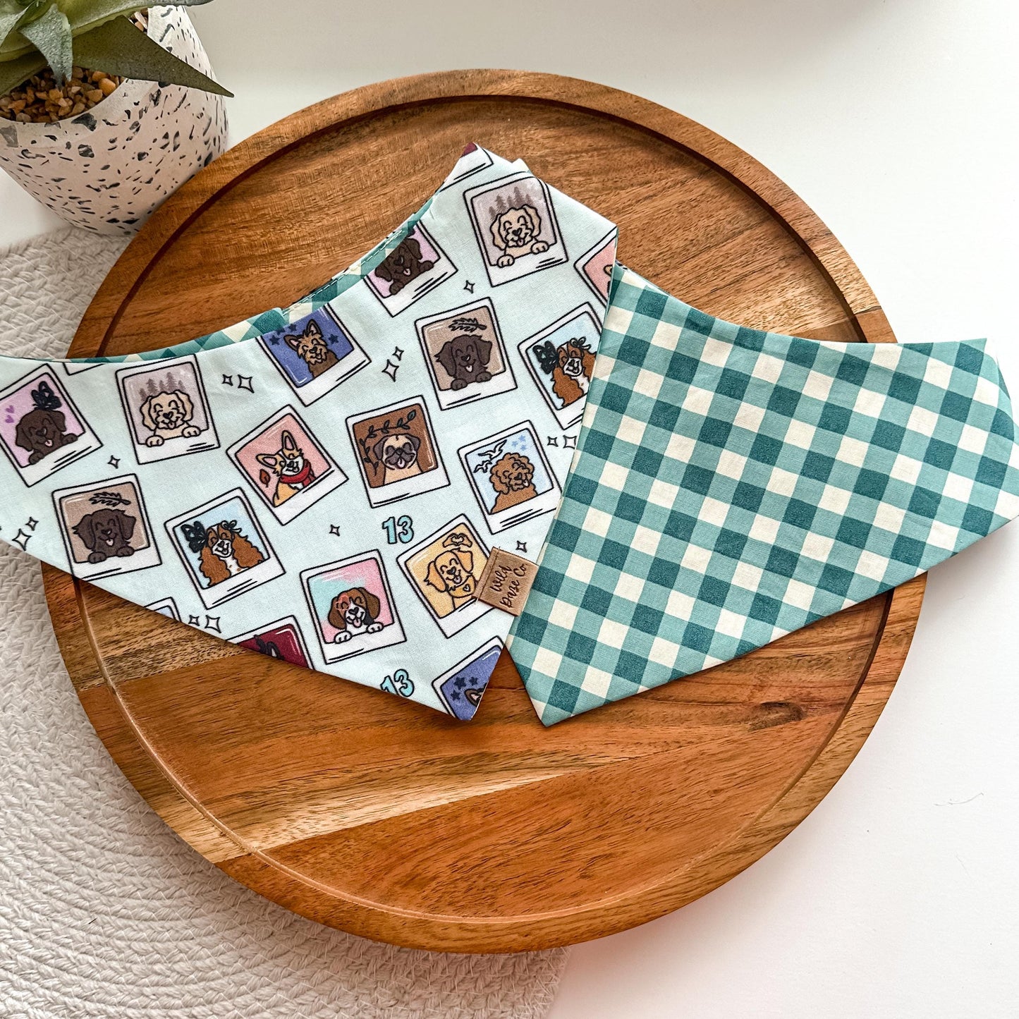 Pup Eras Dog Bandana