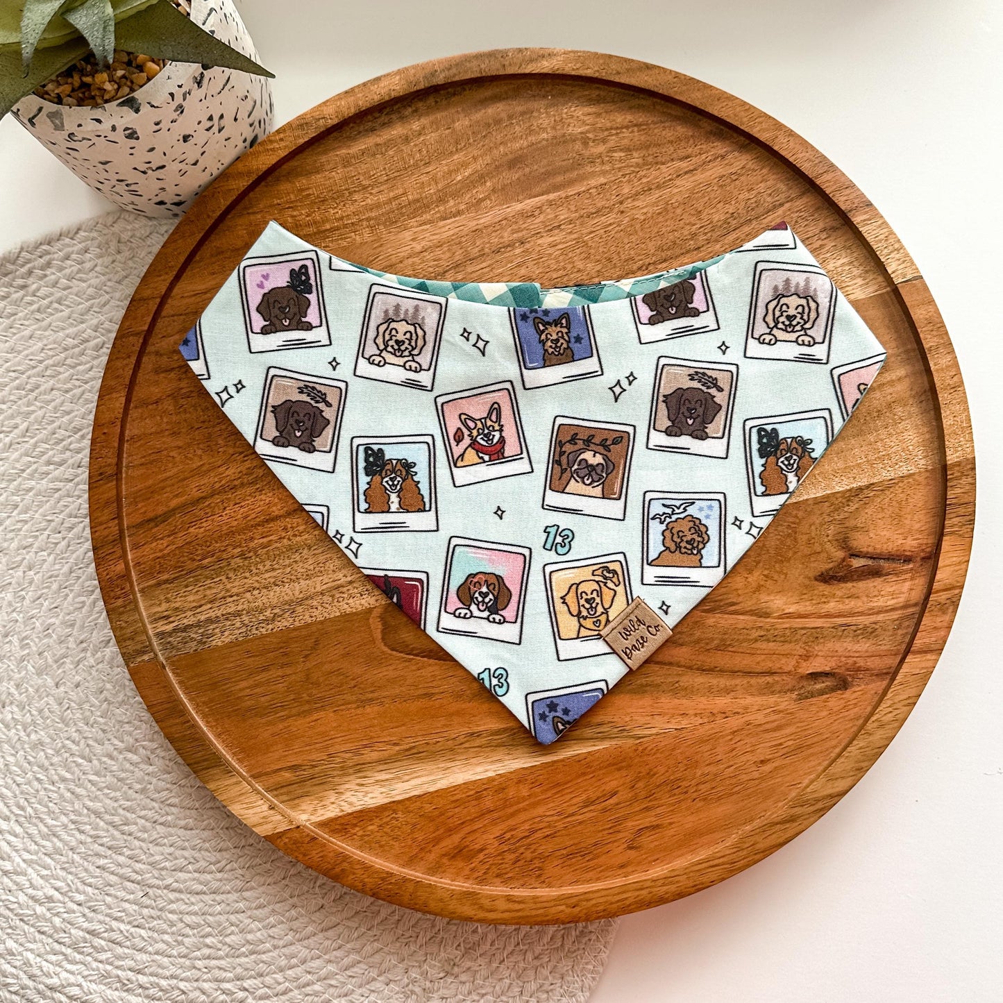 Pup Eras Dog Bandana