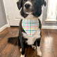 Breakfast Foodie Dog Bandana