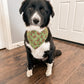 Butterfly Dog Bandana