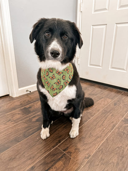 Butterfly Dog Bandana