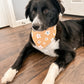 Boho Rainbows and Clouds Dog Bandana