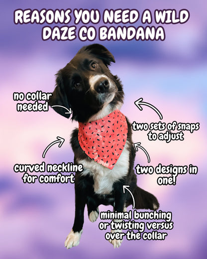 Bananas For You Dog Bandana | Pet Accessories Scarf | Pet Bandana | Snap On Reversible Bandana