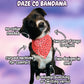 Bee Mine Dog Bandana | Pet Accessories Scarf | Pet Bandana | Snap On Reversible Bandana