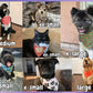 World’s Best Kisser Dog Bandana | Pet Accessories Scarf | Pet Bandana | Snap On Reversible Bandana