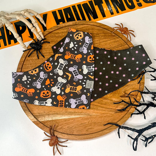 Spooky Paws and Bones Halloween Dog Bandana