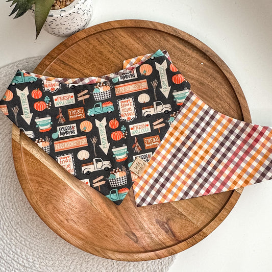 Pumpkin Patch in Dark Gray Dog Bandana