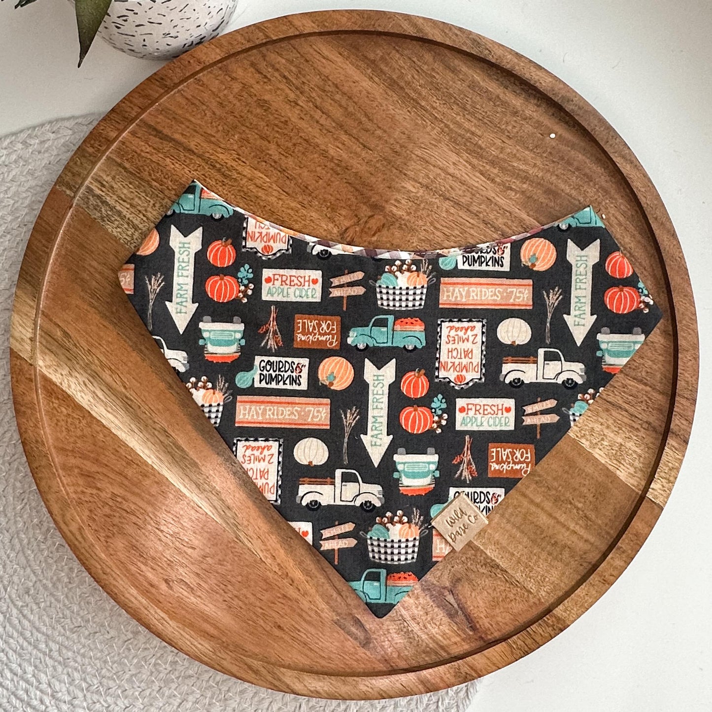 Pumpkin Patch in Dark Gray Dog Bandana