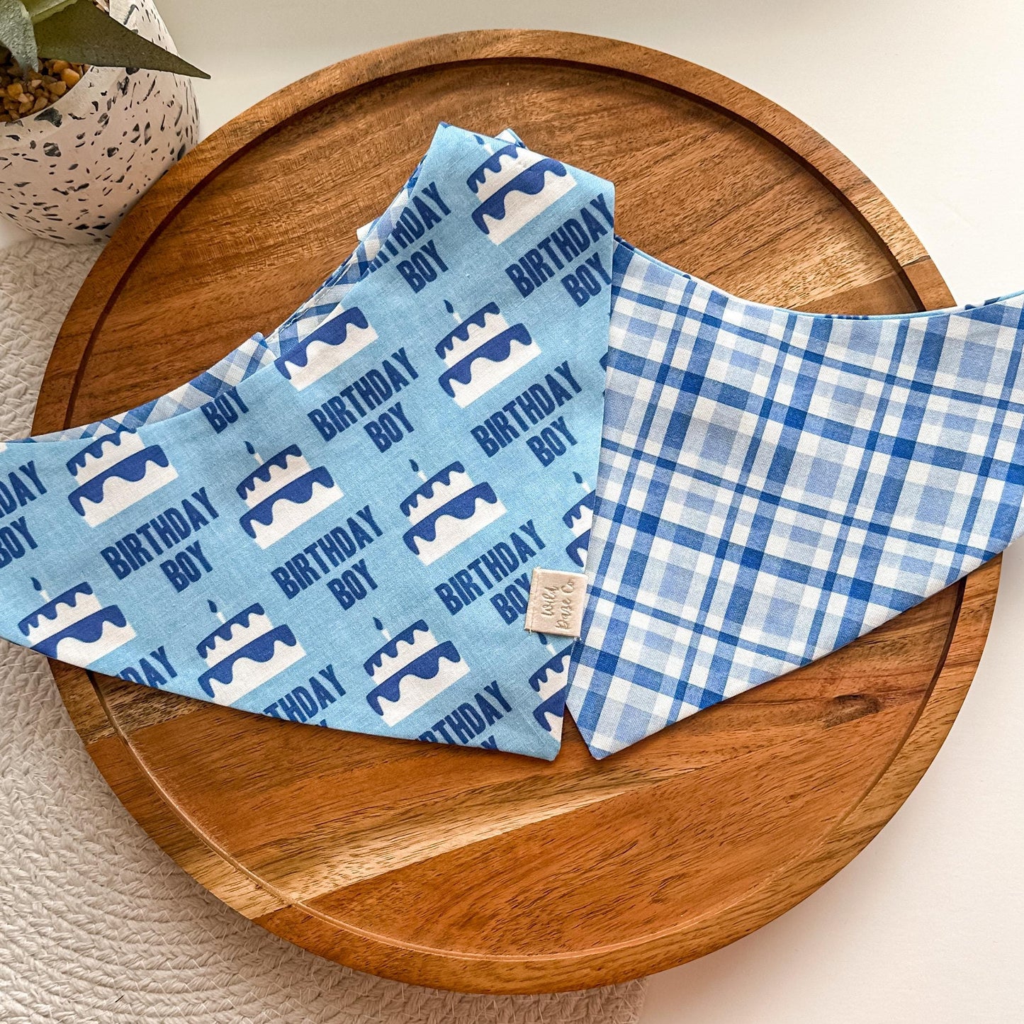 Birthday Boy Dog Bandana