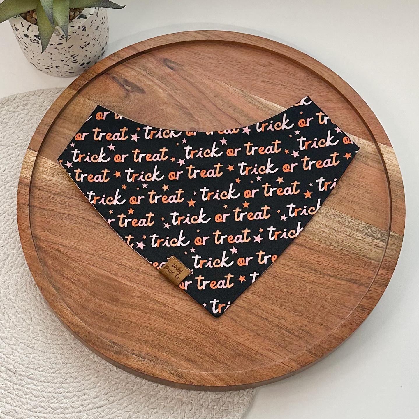 Halloween Costume Pawty Dog Bandana