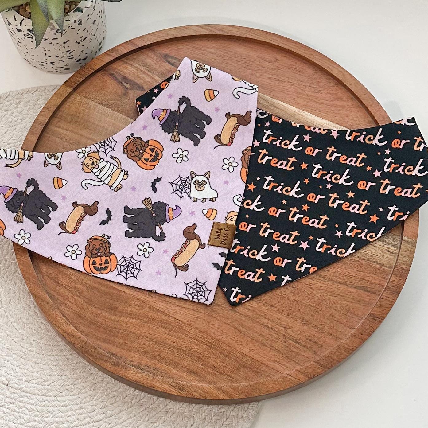 Halloween Costume Pawty Dog Bandana