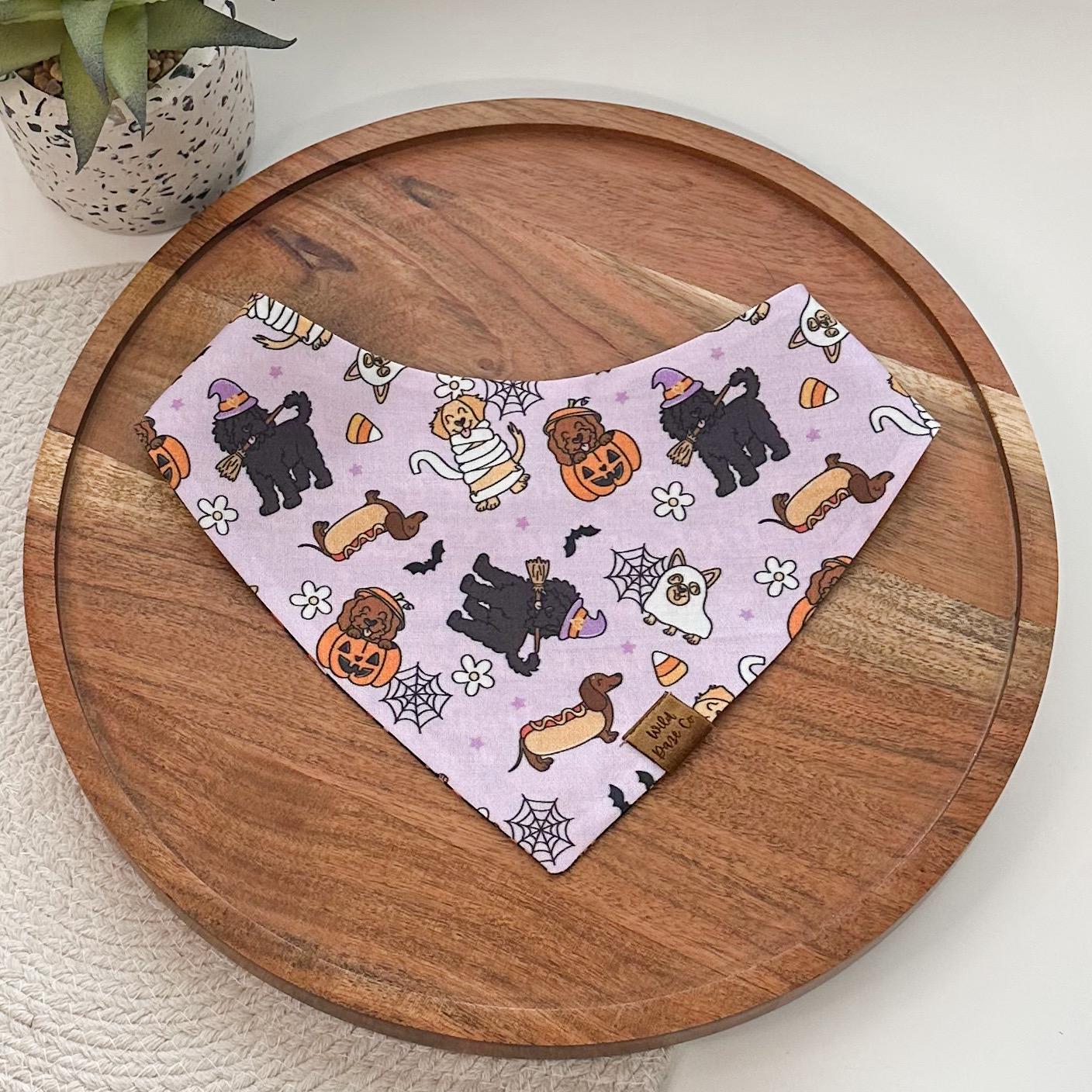 Halloween Costume Pawty Dog Bandana